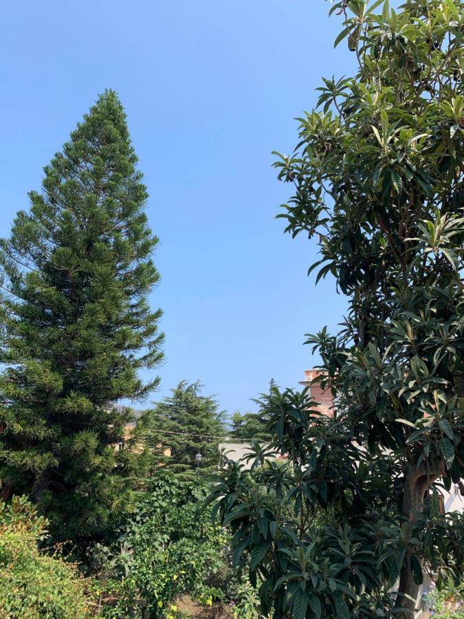 דירות ליפארי Casa Diana Arianna מראה חיצוני תמונה